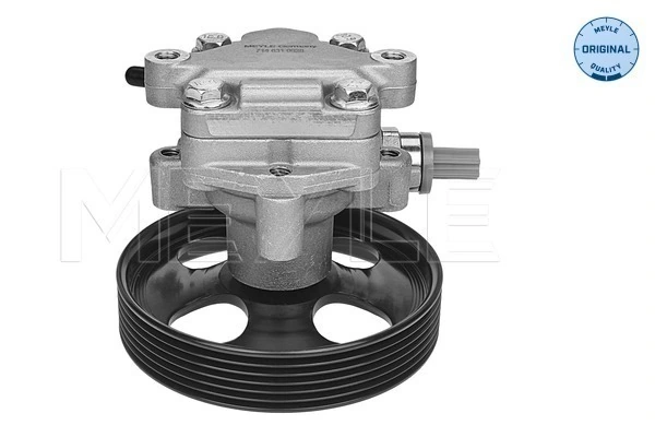 Bomba de dirección hidráulica Ford Fiesta Mk6