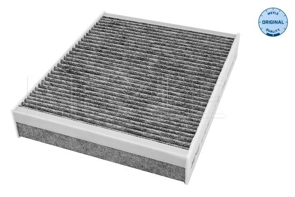 Filtro antipolen para Fiat Ducato III 250