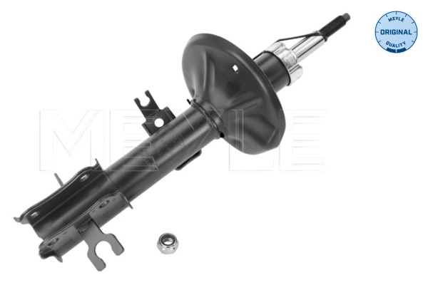 Amortiguador delantero derecho Opel 96534982 precio, desde 54,30 EUR