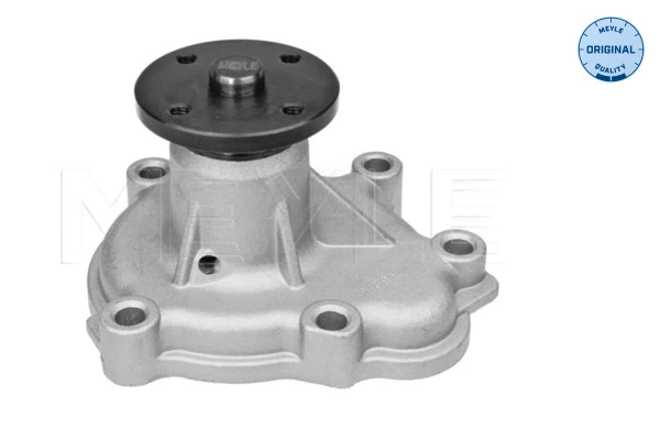 97220278 General Motors Bomba refrigerante coche