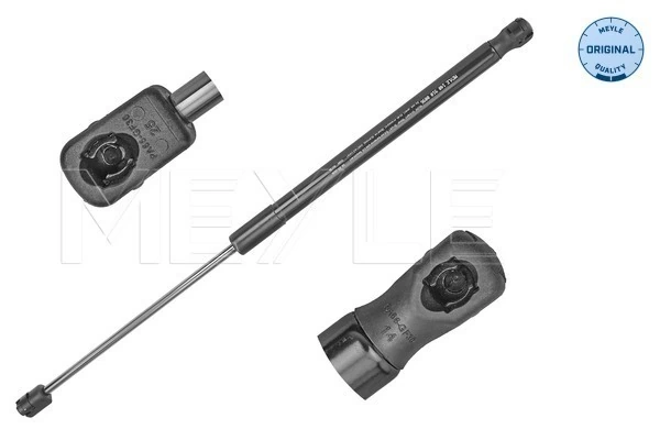 Amortiguadores de maletero Audi A4  (8K5)