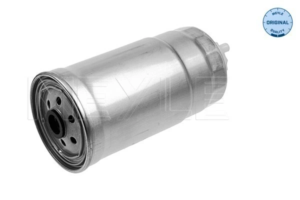 8671004386 Renault (RVI) Filtro de gasolina