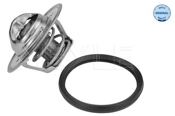 Termostato de agua para Ford Fiesta Mk3 GFJ