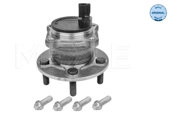 Comprar IJ133018 Iljin Cubo de rueda, Eje trasero