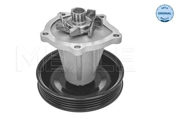 25194461 KAP Bomba refrigerante coche