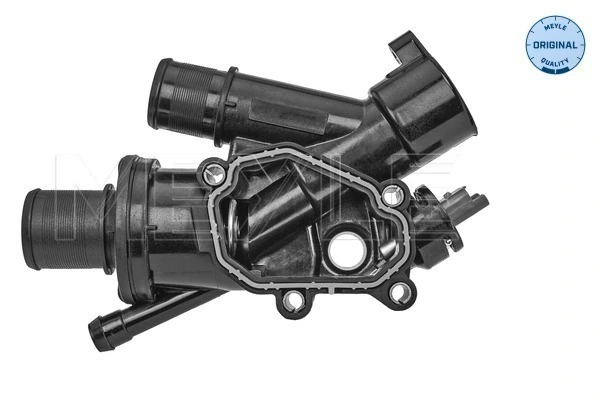 819715 VALEO Termostato de agua