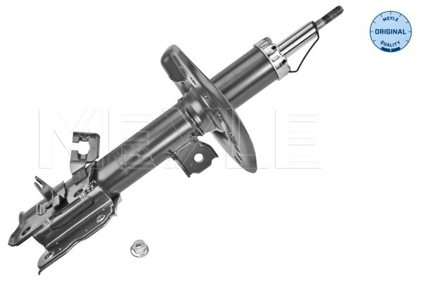 Amortiguador delantero izquierdo Peugeot/Citroen 1635551080 precio, desde 52,86 EUR