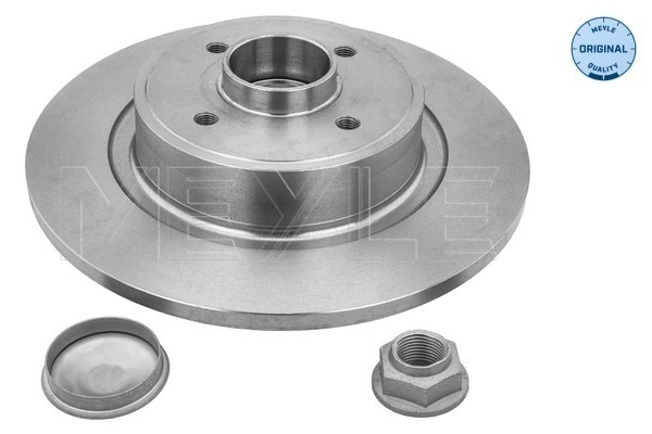 Comprar 1619237580 Peugeot/Citroen Disco de freno trasero