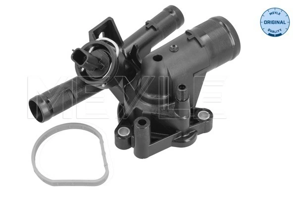 Comprar Termostato Renault Master III FV