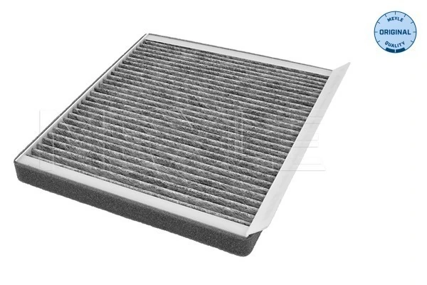971331E100 General Motors Filtro antipolen