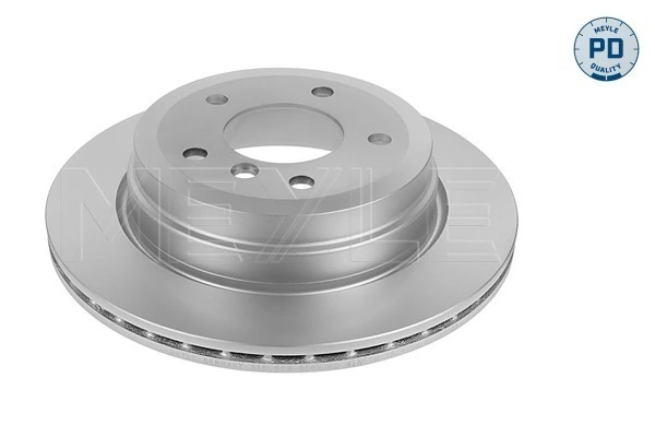 Disco de freno trasero 1622806880 Peugeot/Citroen