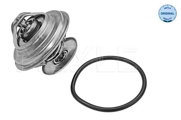 04224847 Deutz Termostato de agua