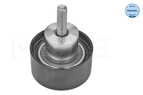 4892356 Fiat/Alfa/Lancia Polea tensora