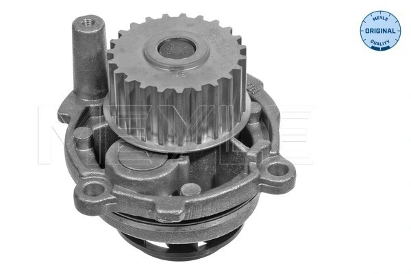 Comprar Bomba de agua Volkswagen Passat B6 3C2
