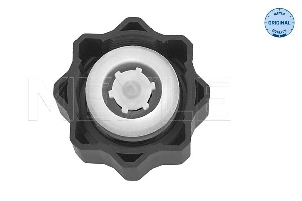 Tapon liquido refrigerante Citroen C4 Cactus SUV (2014 - 2026) precio, desde 6,09 USD