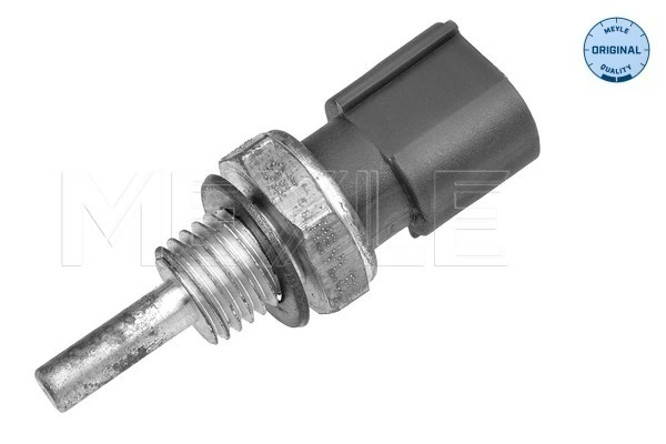ST225 Beru Sensor temperatura refrigerante