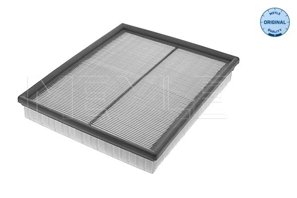 8671004479 Renault (RVI) Filtro de aire de motor
