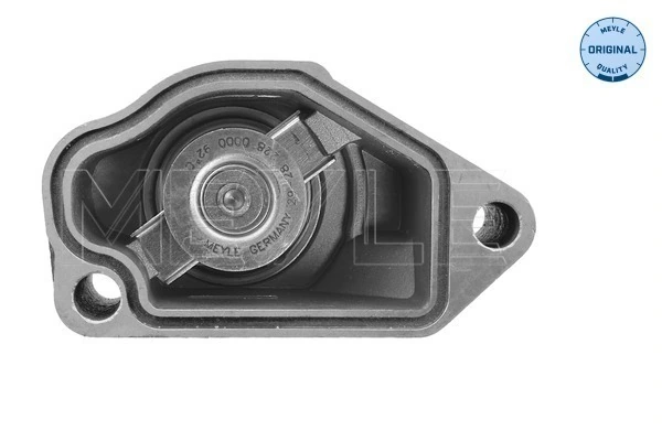 Comprar Termostato Chevrolet Captiva I C100
