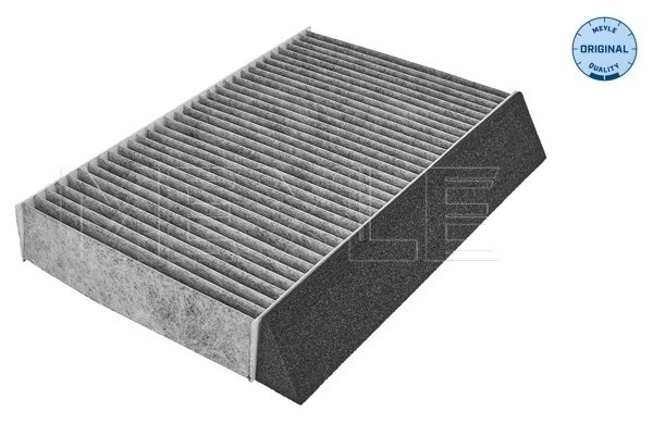 Filtro antipolen para Renault Megane III BZ0, BZ1, B3