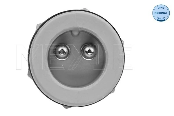 Sensor de temperatura del refrigerante MAN TGX I camión volquete (2006 - 2021) precio, desde 26,51 EUR
