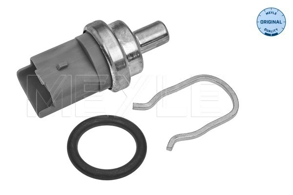 Sensor de temperatura para Fiat Ducato 230