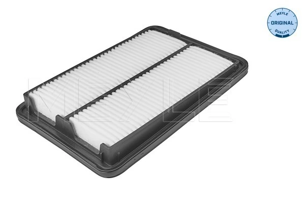 Filtro aire para Nissan Qashqai II J11