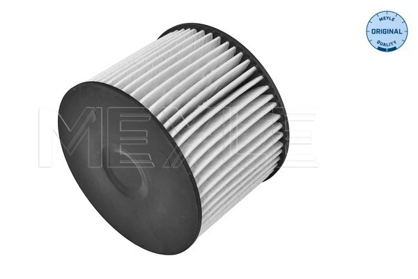 Filtro de gasolina para Ford Kuga I CBV