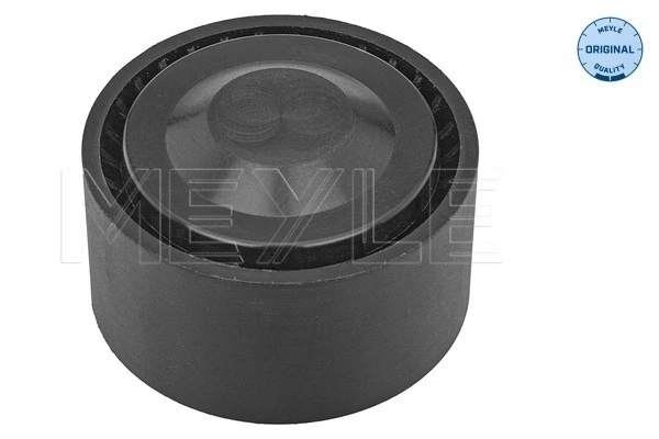Polea guía correa poli V para Ford C-Max  DM2