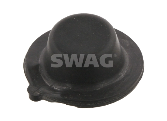 10934018 Swag