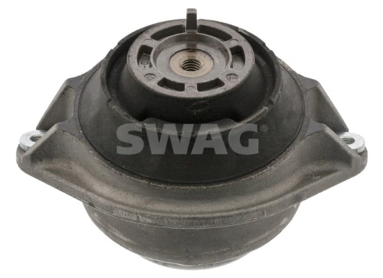 10130041 Swag