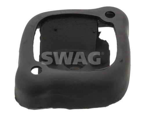 10130009 Swag