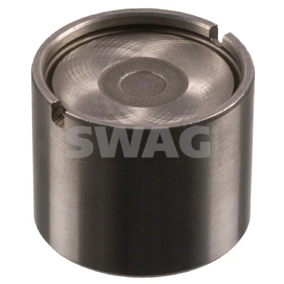 30180010 Swag