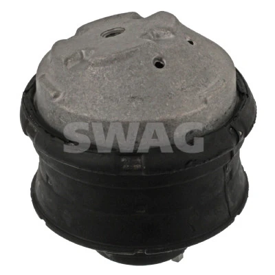 10130061 Swag
