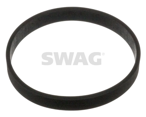 10100871 Swag