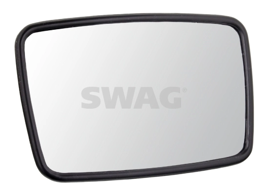 10100888 Swag