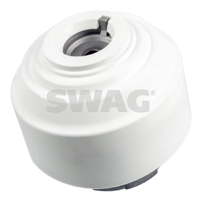 10130105 Swag