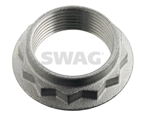 10908731 Swag