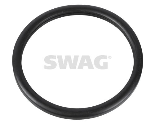 60160001 Swag