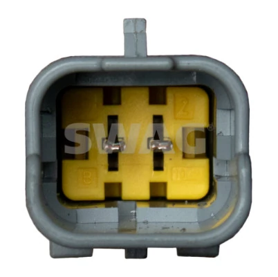 Bomba de aceite Swag 33111668 precio, desde 176,32 EUR