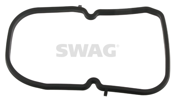 10908717 Swag