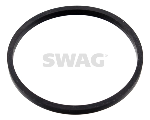 10100055 Swag