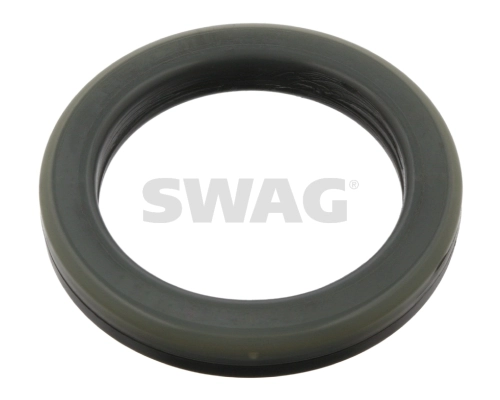 40540012 Swag