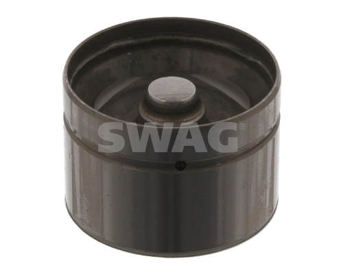 10180017 Swag