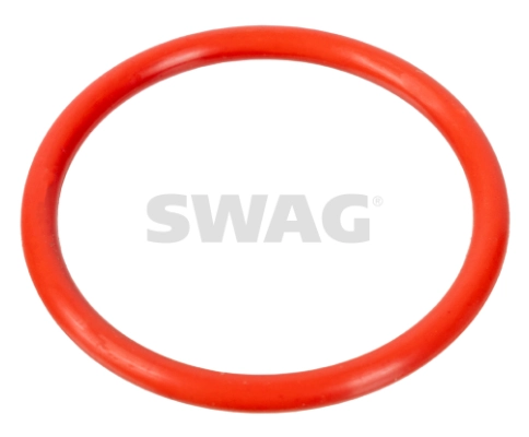 10100078 Swag