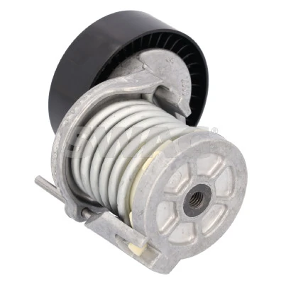 30102297 Swag Tensor de correa de alternador