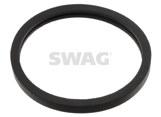 40160001 Swag