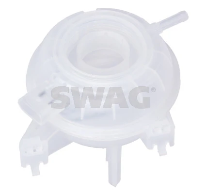 33109009 Swag