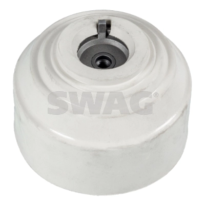 10130089 Swag