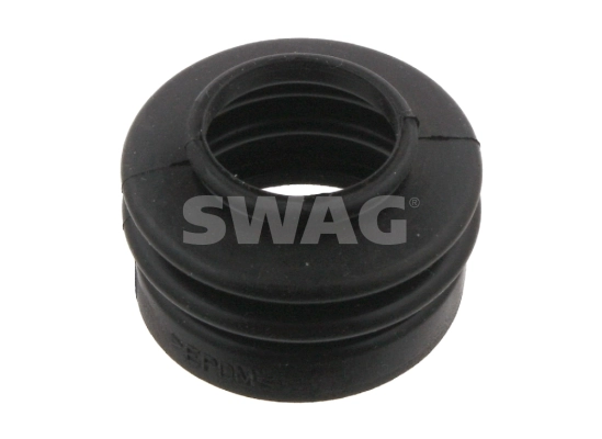 10934566 Swag