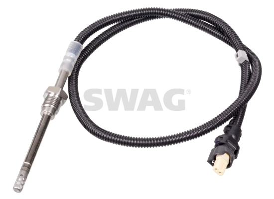 10100828 Swag